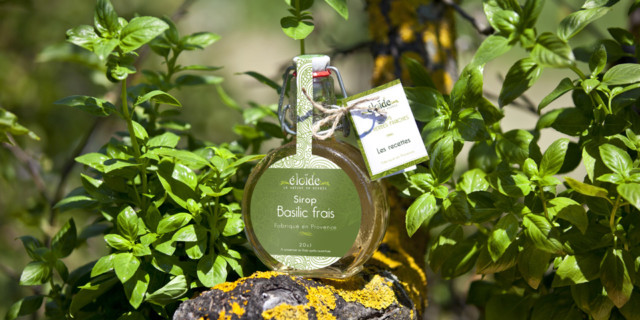 Sirop de basilic frais